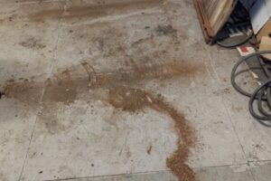 PXL_20260303_180340915.MP PXL_20260303_180340915.MP